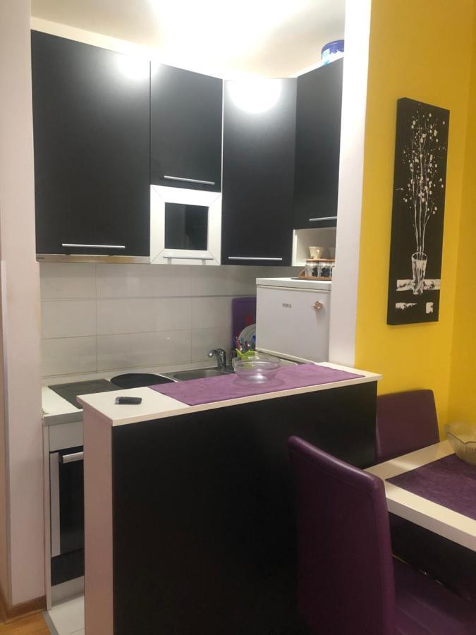 Apartman Tanjuska Podgorica Eksteriør billede